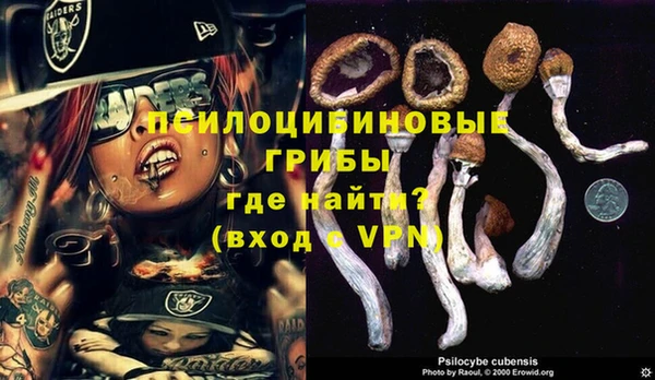 каннабис Коряжма