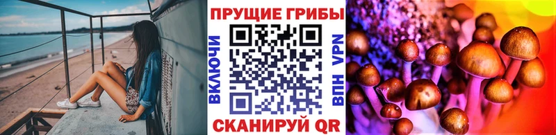 darknet Telegram Учалы Псилоцибиновые грибы Psilocybine cubensis где купить наркоту