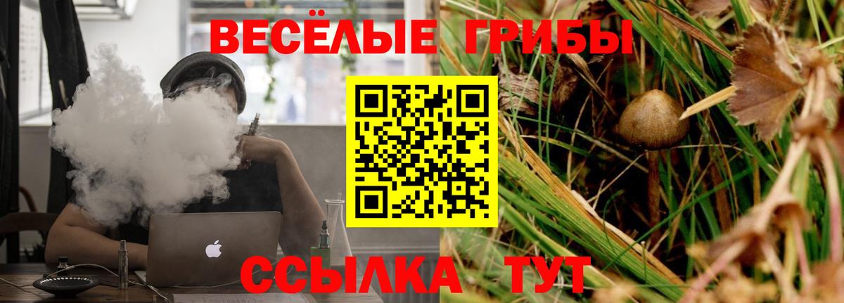 Псилоцибиновые грибы прущие грибы  Вход с VPN  Учалы 